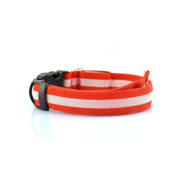 LED Glow-in-the-Dark Adjustable Pet Collar for Dogs & Cats
