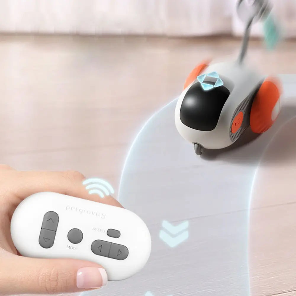 USB Rechargeable Smart Remote Control Pet Training Ball