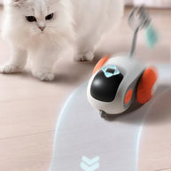 USB Rechargeable Smart Remote Control Pet Training Ball