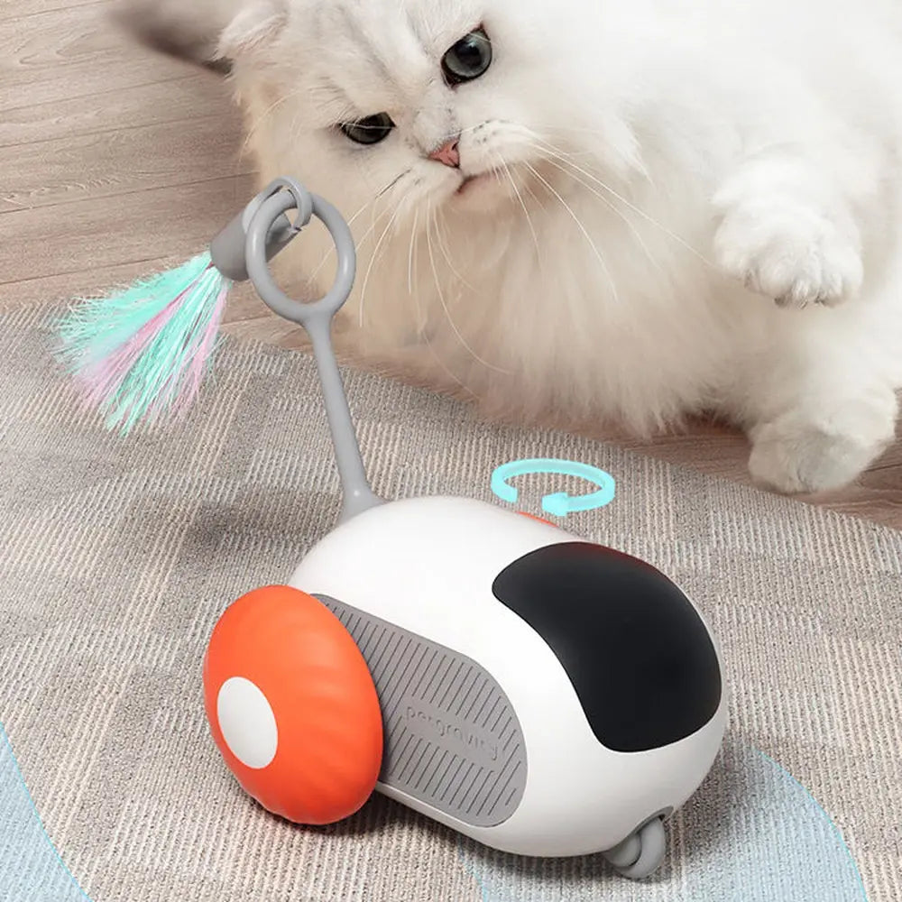 USB Rechargeable Smart Remote Control Pet Training Ball