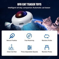 Automatic Interactive Feather Teaser Toy for Indoor Cats